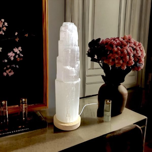 717BLdsl2AL._AC_SL1500_